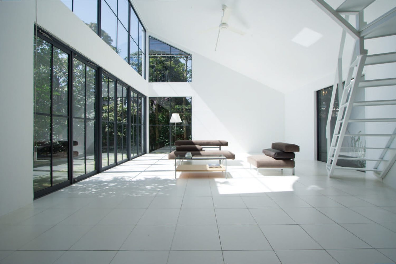 開放感ある南窓からの気持ちよい光