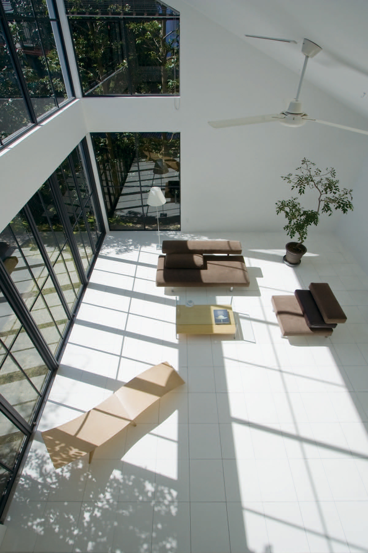 東窓からの自然光 階段上から俯瞰撮影も