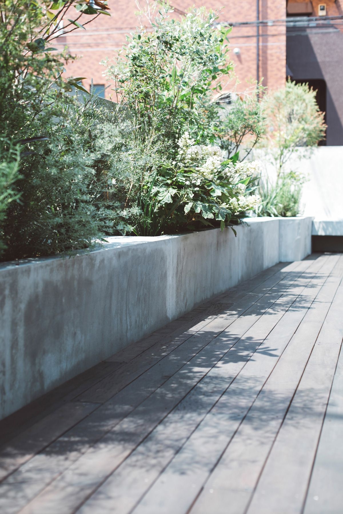 テラスでも撮影可能です