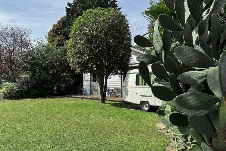 大きなサボテンと外観