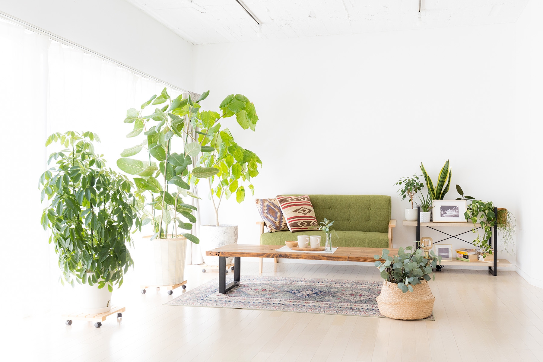 おうち時間の再現にも