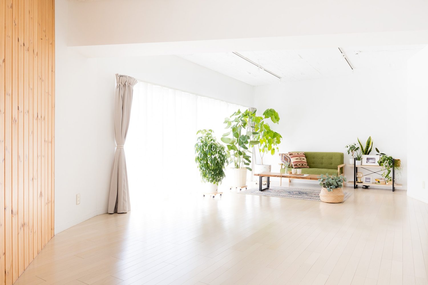 たっぷり自然光の入る室内