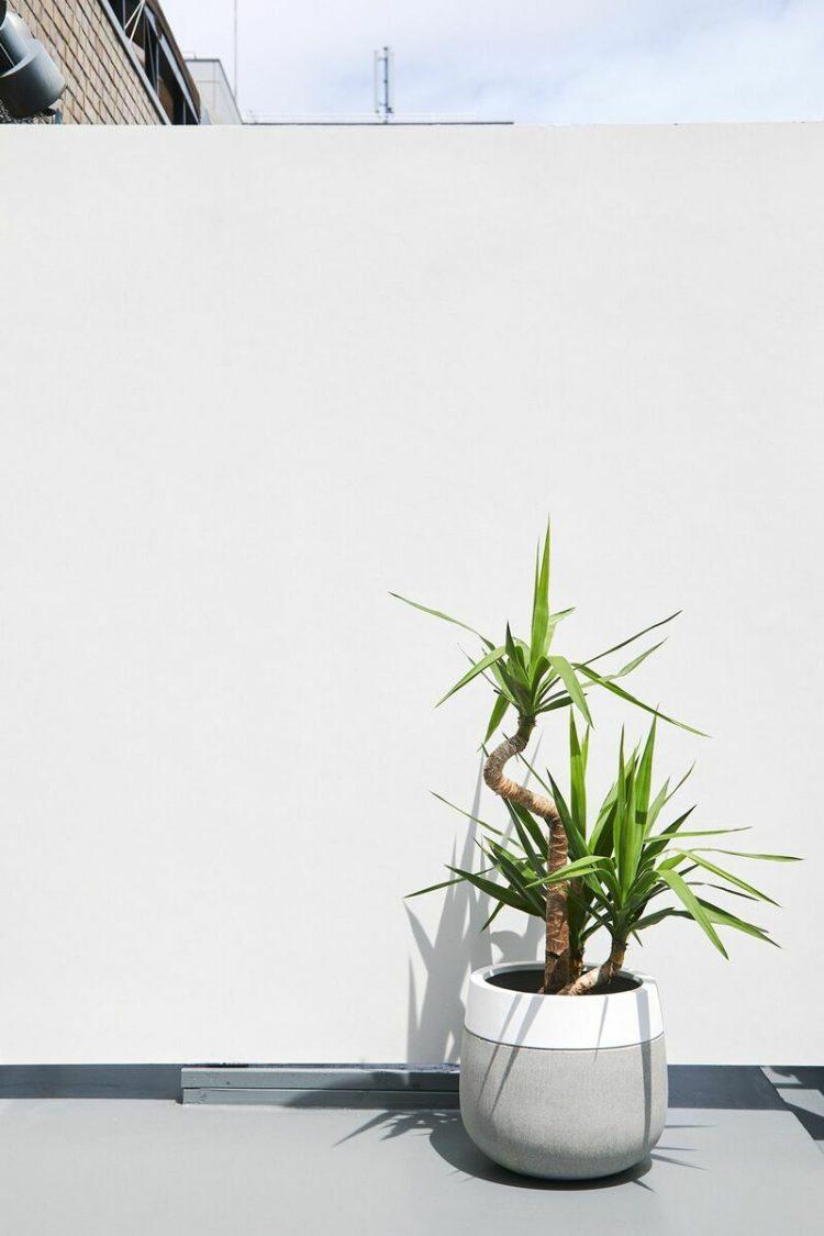 5F バルコニーの白壁で屋外カット撮影可能