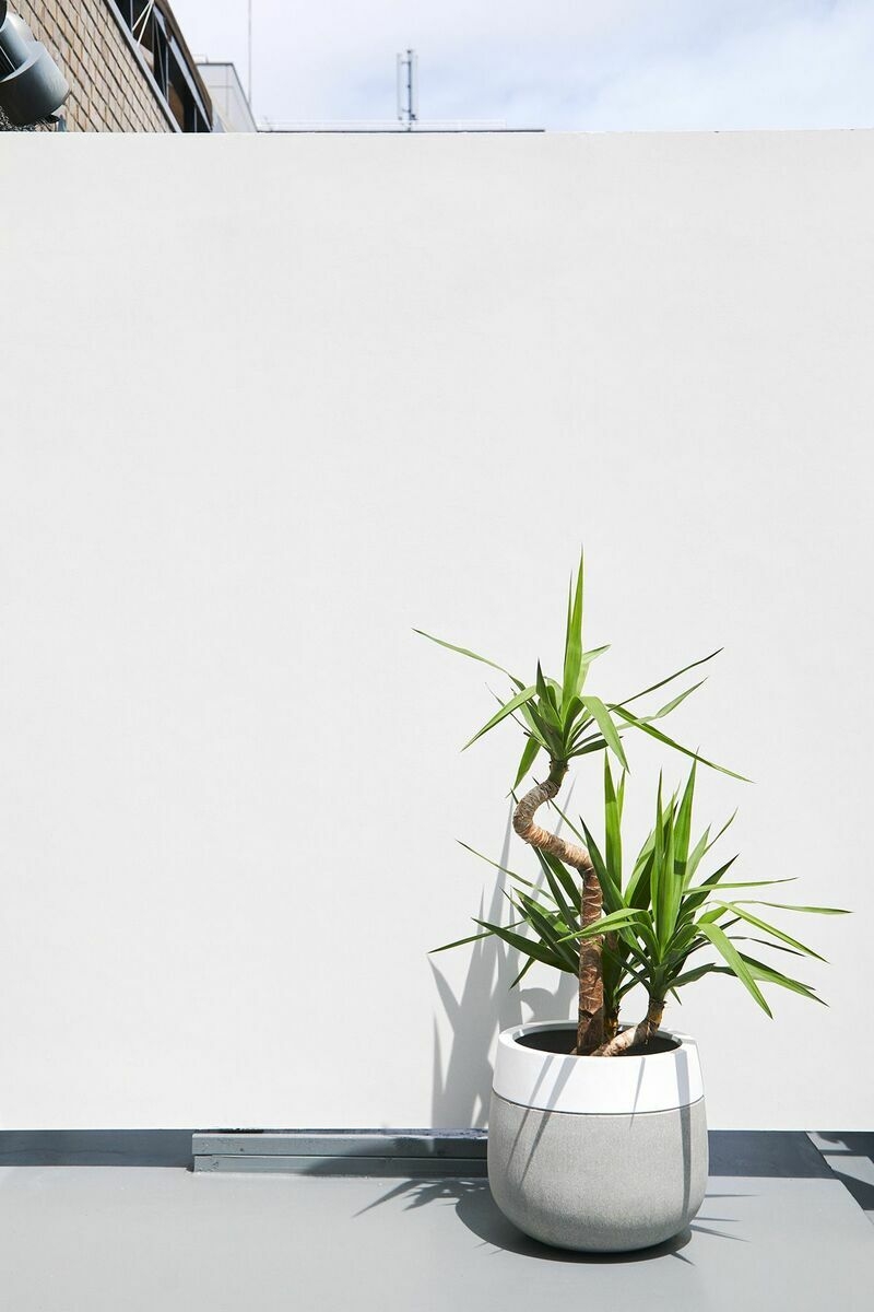 5F バルコニーの白壁で屋外カット撮影可能