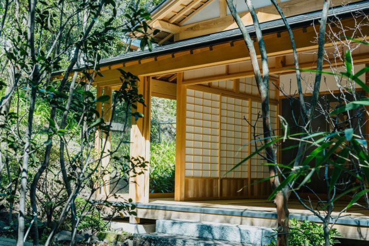 3月11:00頃の坪庭から