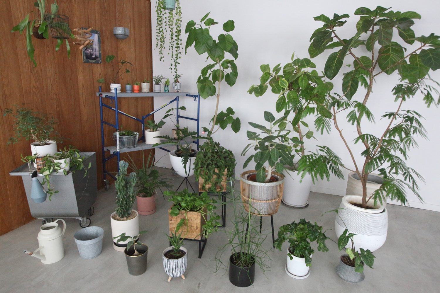 グリーンプロップ豊富