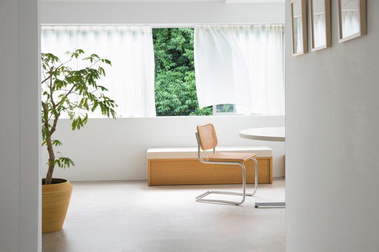 隣接する青山公園の木々を背景に撮影可能