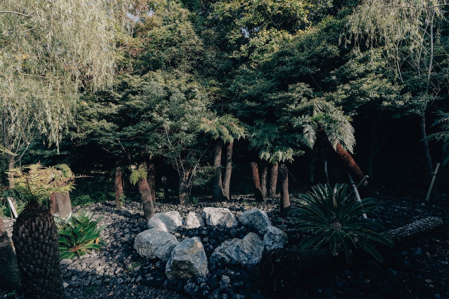 敷地内には300種の植物