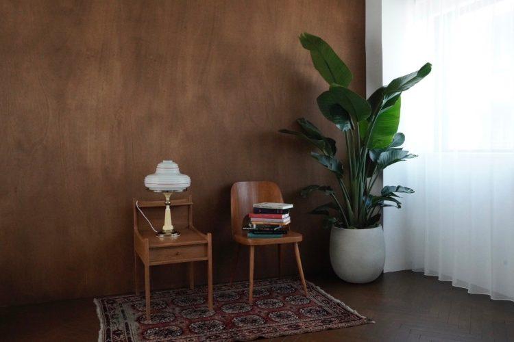 高さのある観葉植物も