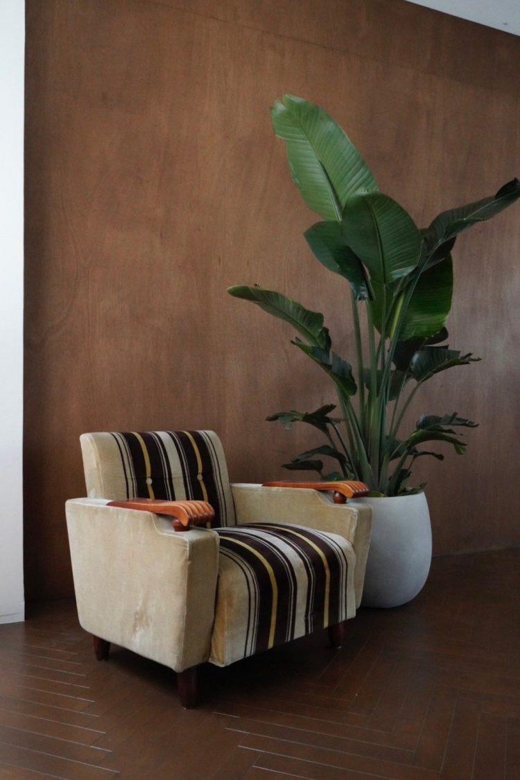 インタビューや対談にも