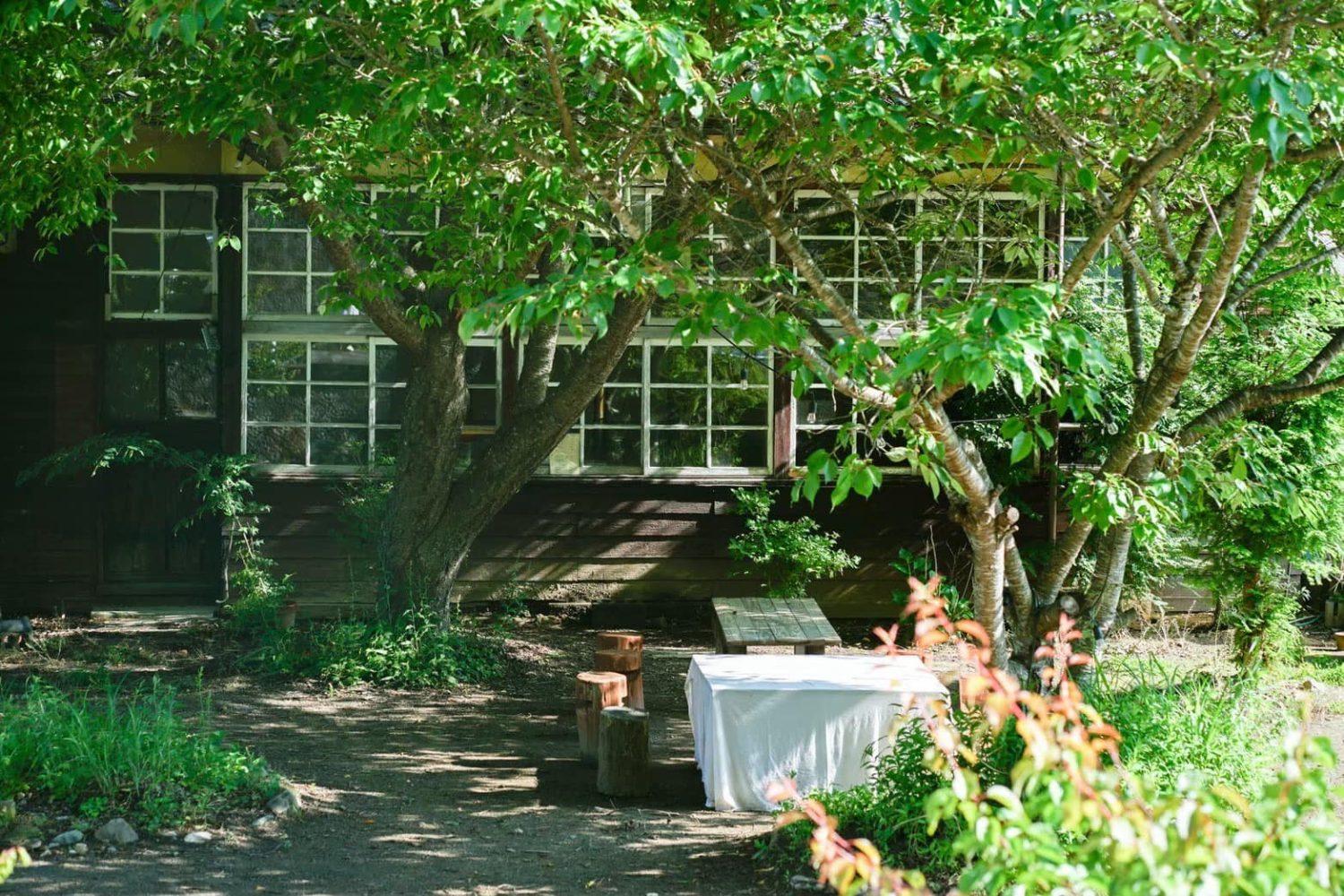 緑豊かな校庭に面する木造校舎 / 夏