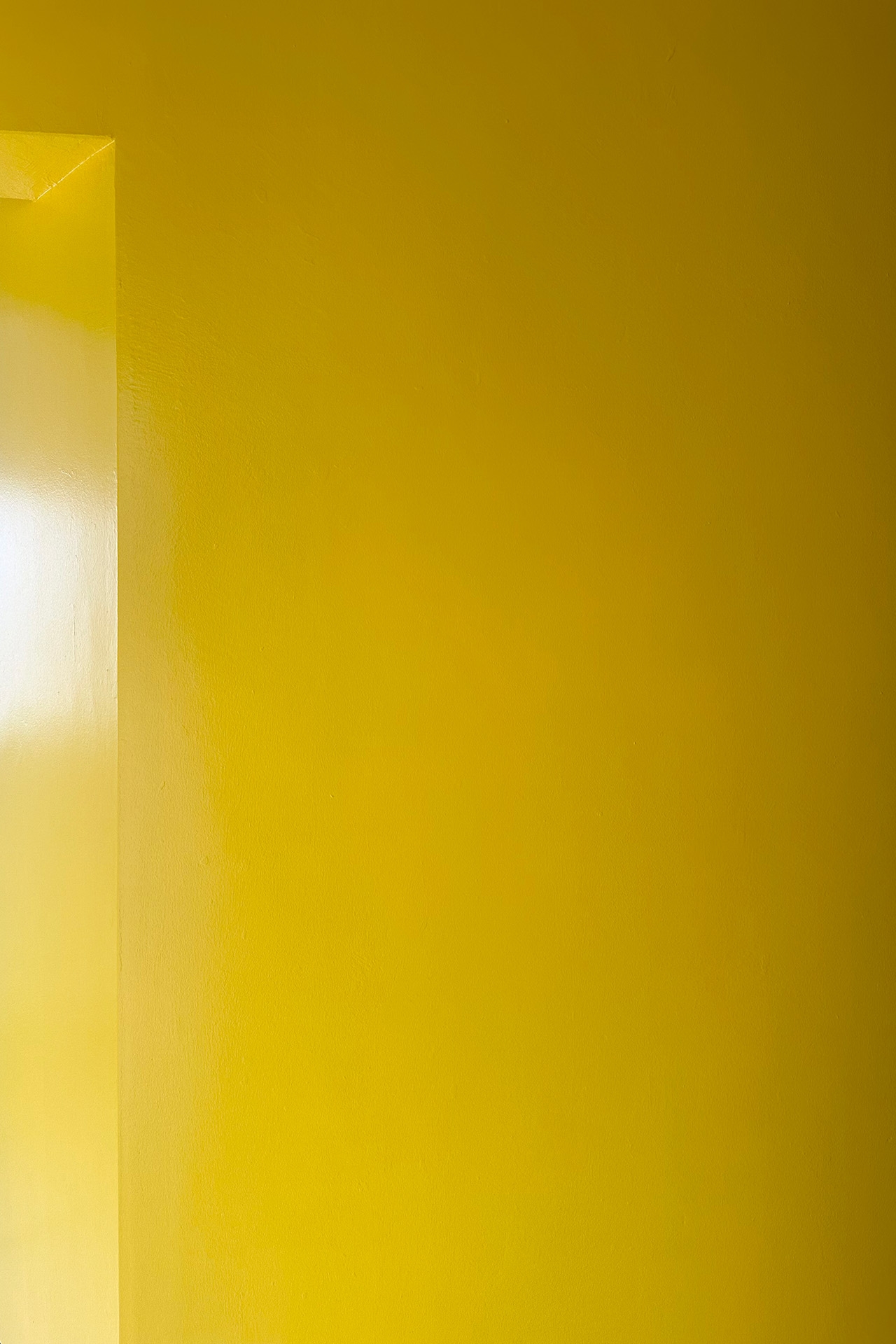 5Fの階段踊り場は黄色壁