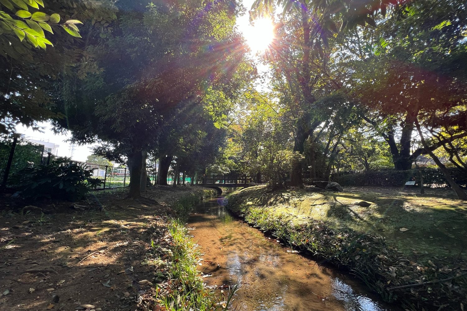 スタジオに隣接する公園