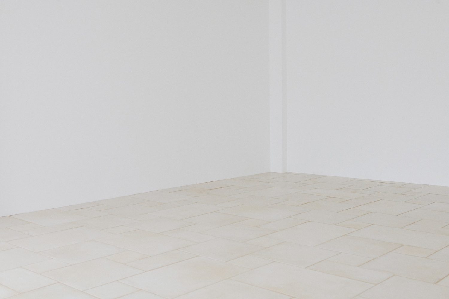 2F コーナーの2面の白壁で撮影可能