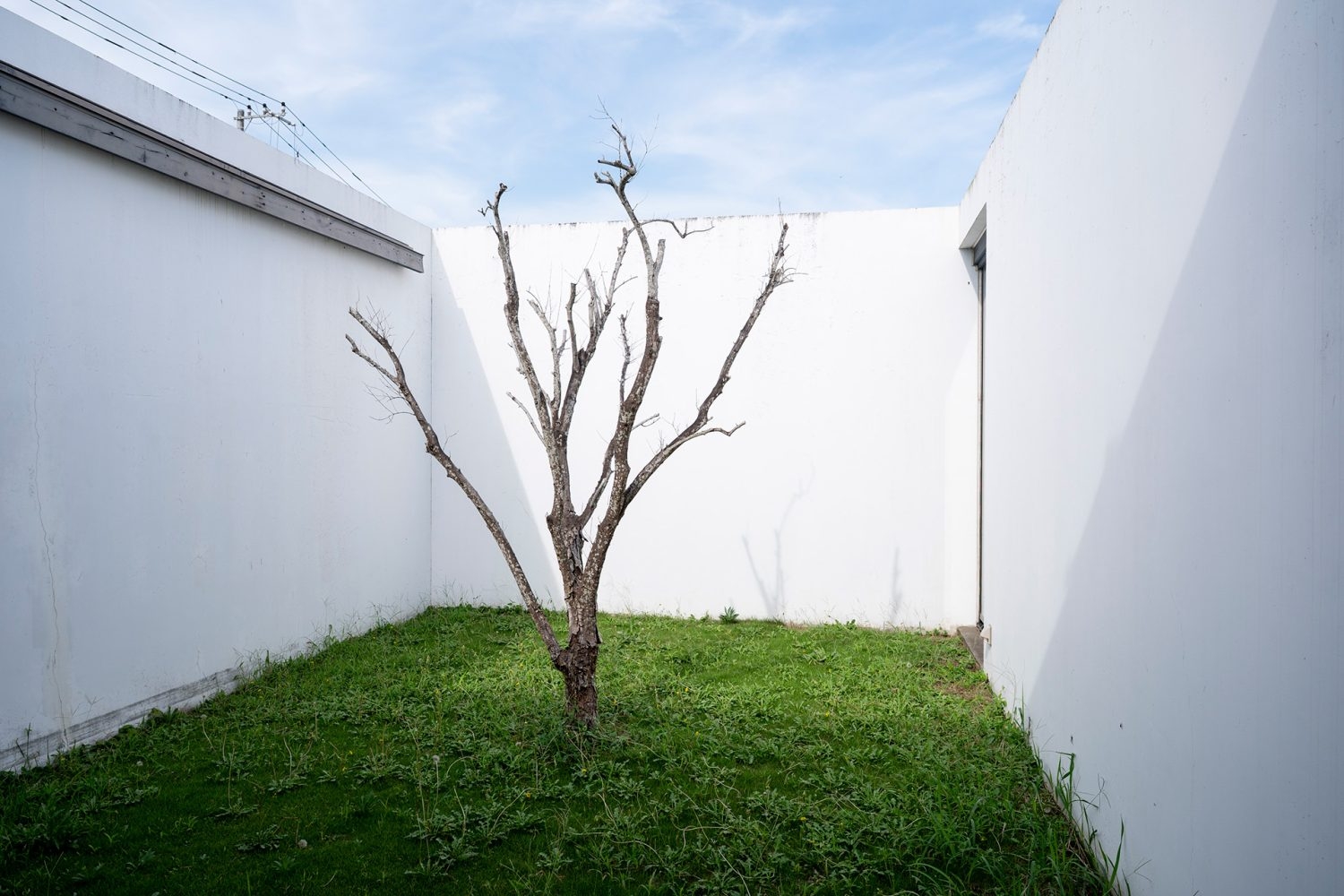 エントランス左手にある中庭