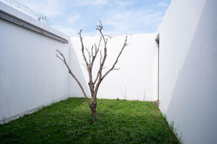 エントランス左手にある中庭