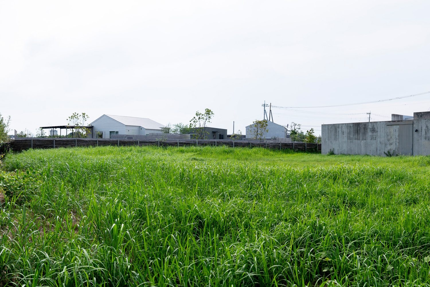 荒地裏庭(約1000㎡)