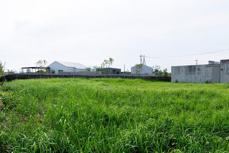 荒地裏庭(約1000㎡)