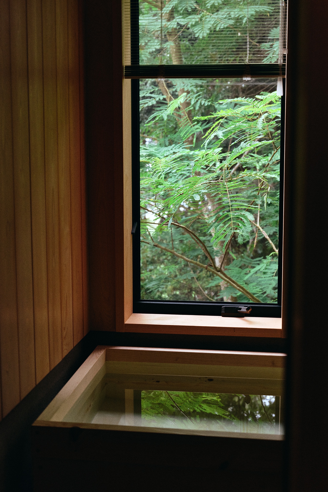 コウヤマキの特別な浴槽