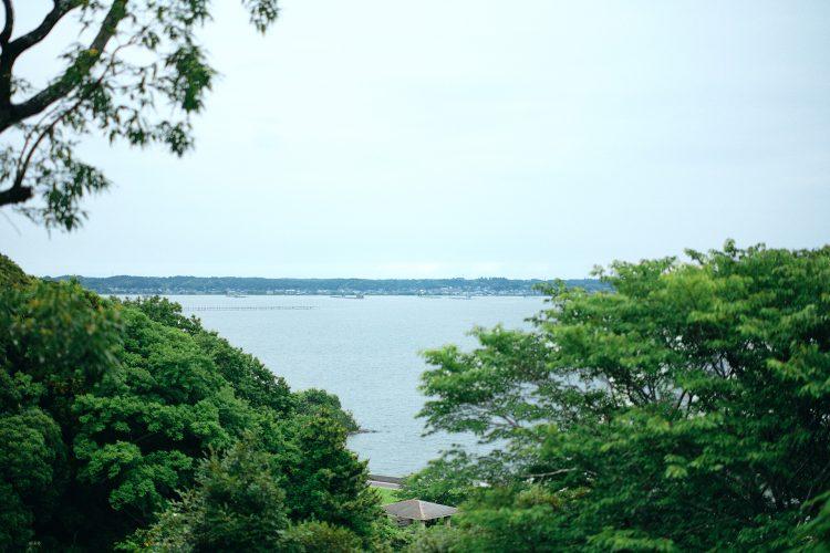 建物からの景色